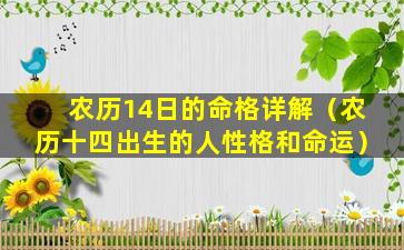 农历14日的命格详解（农历十四出生的人性格和命运）