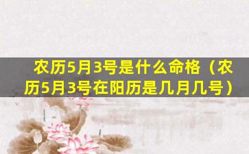 农历5月3号是什么命格（农历5月3号在阳历是几月几号）