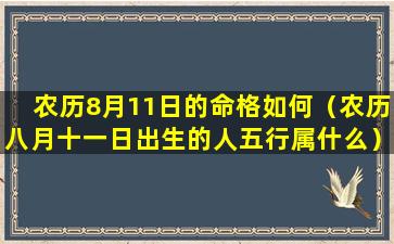 农历8月11日的命格如何（农历八月十一日出生的人五行属什么）