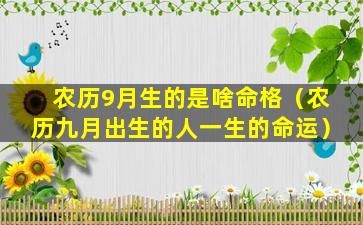 农历9月生的是啥命格（农历九月出生的人一生的命运）