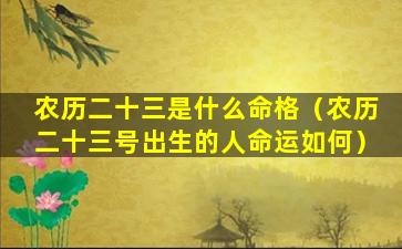 农历二十三是什么命格（农历二十三号出生的人命运如何）