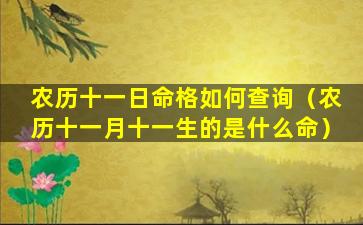 农历十一日命格如何查询（农历十一月十一生的是什么命）