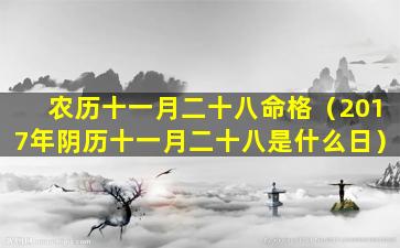 农历十一月二十八命格（2017年阴历十一月二十八是什么日）