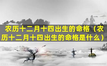 农历十二月十四出生的命格（农历十二月十四出生的命格是什么）