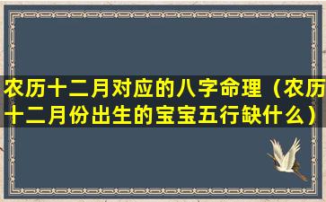 农历十二月对应的八字命理（农历十二月份出生的宝宝五行缺什么）