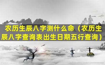 农历生辰八字测什么命（农历生辰八字查询表出生日期五行查询）