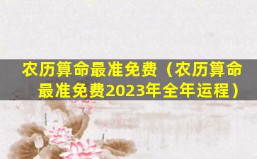 农历算命最准免费（农历算命最准免费2023年全年运程）