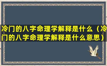 冷门的八字命理学解释是什么（冷门的八字命理学解释是什么意思）