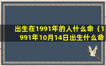 出生在1991年的人什么命（1991年10月14日出生什么命）