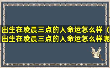 出生在凌晨三点的人命运怎么样（出生在凌晨三点的人命运怎么样呢）