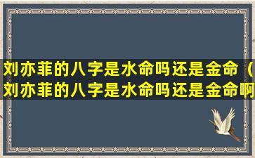 刘亦菲的八字是水命吗还是金命（刘亦菲的八字是水命吗还是金命啊）