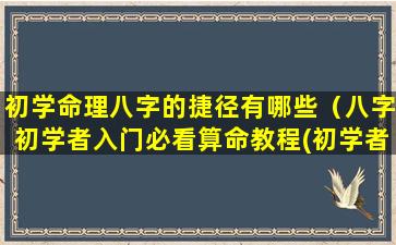 初学命理八字的捷径有哪些（八字初学者入门必看算命教程(初学者一定要看!)）