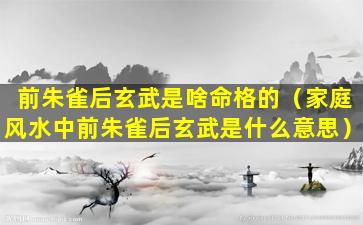 前朱雀后玄武是啥命格的（家庭风水中前朱雀后玄武是什么意思）