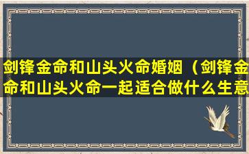 剑锋金命和山头火命婚姻（剑锋金命和山头火命一起适合做什么生意）