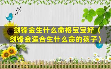 剑锋金生什么命格宝宝好（剑锋金适合生什么命的孩子）