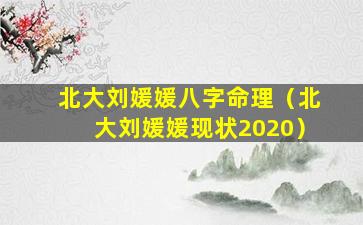 北大刘媛媛八字命理（北大刘媛媛现状2020）