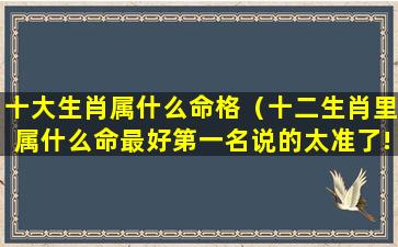 十大生肖属什么命格（十二生肖里属什么命最好第一名说的太准了!）