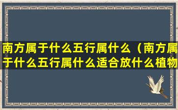 南方属于什么五行属什么（南方属于什么五行属什么适合放什么植物）