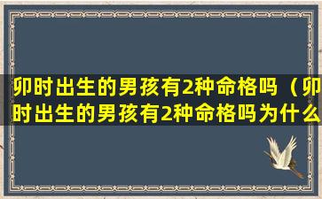 卯时出生的男孩有2种命格吗（卯时出生的男孩有2种命格吗为什么）