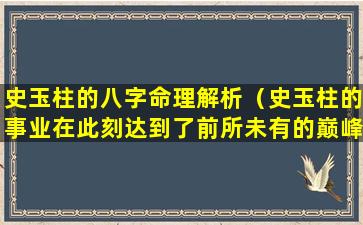 史玉柱的八字命理解析（史玉柱的事业在此刻达到了前所未有的巅峰）