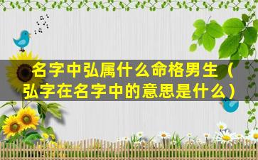 名字中弘属什么命格男生（弘字在名字中的意思是什么）