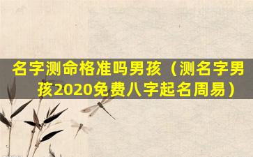 名字测命格准吗男孩（测名字男孩2020免费八字起名周易）