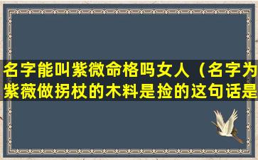 名字能叫紫微命格吗女人（名字为紫薇做拐杖的木料是捡的这句话是对的吗）