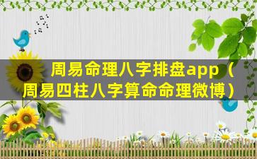 周易命理八字排盘app（周易四柱八字算命命理微博）