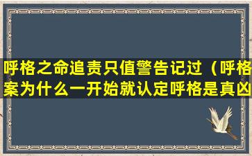 呼格之命追责只值警告记过（呼格案为什么一开始就认定呼格是真凶）