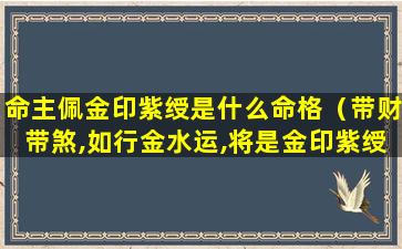 命主佩金印紫绶是什么命格（带财带煞,如行金水运,将是金印紫绶的贵命）