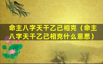 命主八字天干乙己相克（命主八字天干乙己相克什么意思）