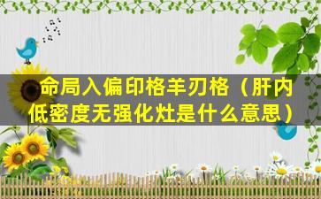 命局入偏印格羊刃格（肝内低密度无强化灶是什么意思）