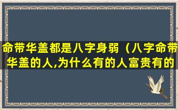 命带华盖都是八字身弱（八字命带华盖的人,为什么有的人富贵有的人落魄）