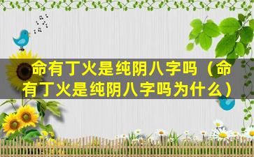 命有丁火是纯阴八字吗（命有丁火是纯阴八字吗为什么）