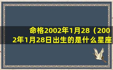 命格2002年1月28（2002年1月28日出生的是什么星座）