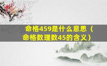 命格459是什么意思（命格数理数45的含义）