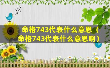 命格743代表什么意思（命格743代表什么意思啊）