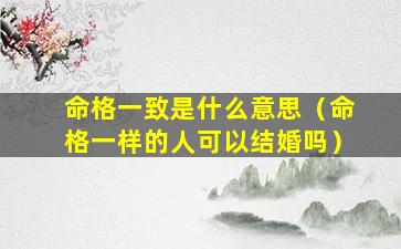 命格一致是什么意思（命格一样的人可以结婚吗）