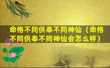 命格不同供奉不同神仙（命格不同供奉不同神仙会怎么样）