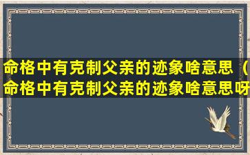 命格中有克制父亲的迹象啥意思（命格中有克制父亲的迹象啥意思呀）