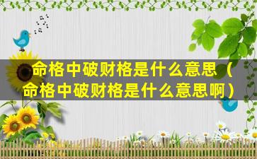 命格中破财格是什么意思（命格中破财格是什么意思啊）