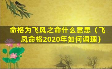 命格为飞风之命什么意思（飞凤命格2020年如何调理）