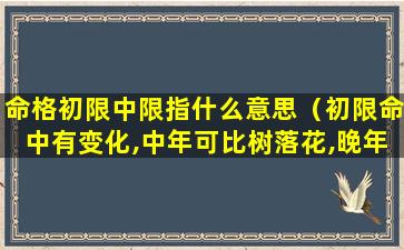 命格初限中限指什么意思（初限命中有变化,中年可比树落花,晚年成业享荣华）