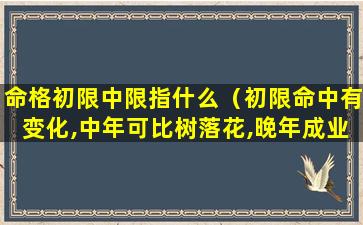 命格初限中限指什么（初限命中有变化,中年可比树落花,晚年成业享荣华）