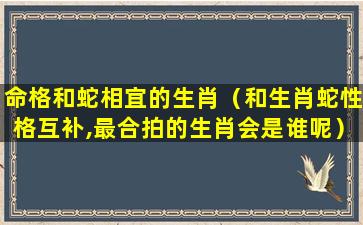 命格和蛇相宜的生肖（和生肖蛇性格互补,最合拍的生肖会是谁呢）