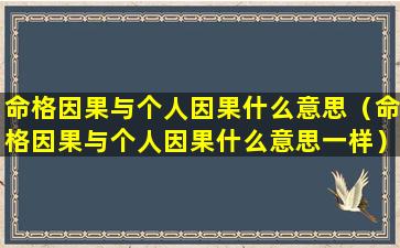 命格因果与个人因果什么意思（命格因果与个人因果什么意思一样）