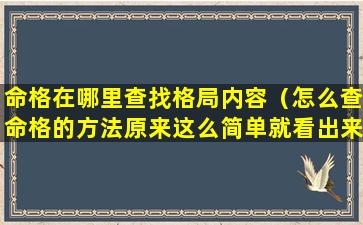 命格在哪里查找格局内容（怎么查命格的方法原来这么简单就看出来了）