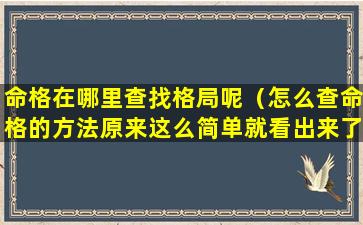 命格在哪里查找格局呢（怎么查命格的方法原来这么简单就看出来了）