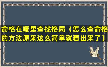 命格在哪里查找格局（怎么查命格的方法原来这么简单就看出来了）