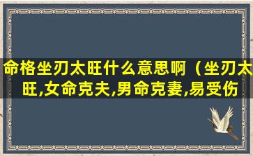 命格坐刃太旺什么意思啊（坐刃太旺,女命克夫,男命克妻,易受伤灾）